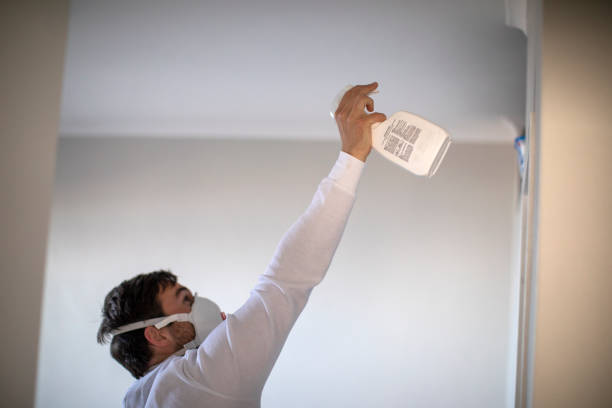 Best Basement Mold Remediation in Vineyard Haven, MA