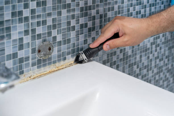 Best Residential Mold Remediation in Vineyard Haven, MA